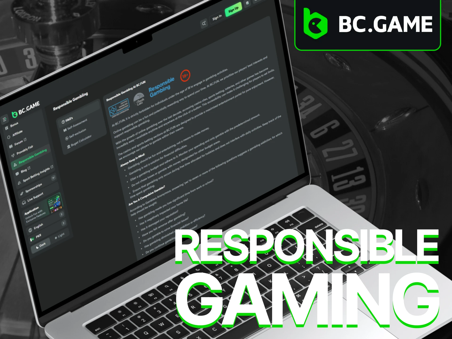BC Game strictly adheres to all responsible gaming policies.