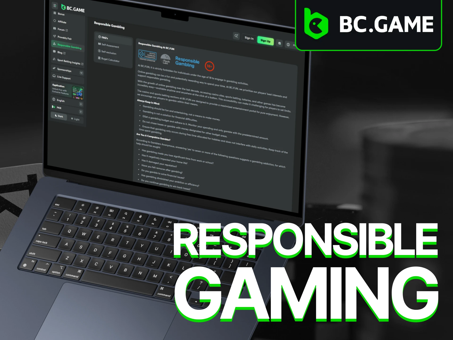 BC Game is a proud advocate for responsible gaming practices.