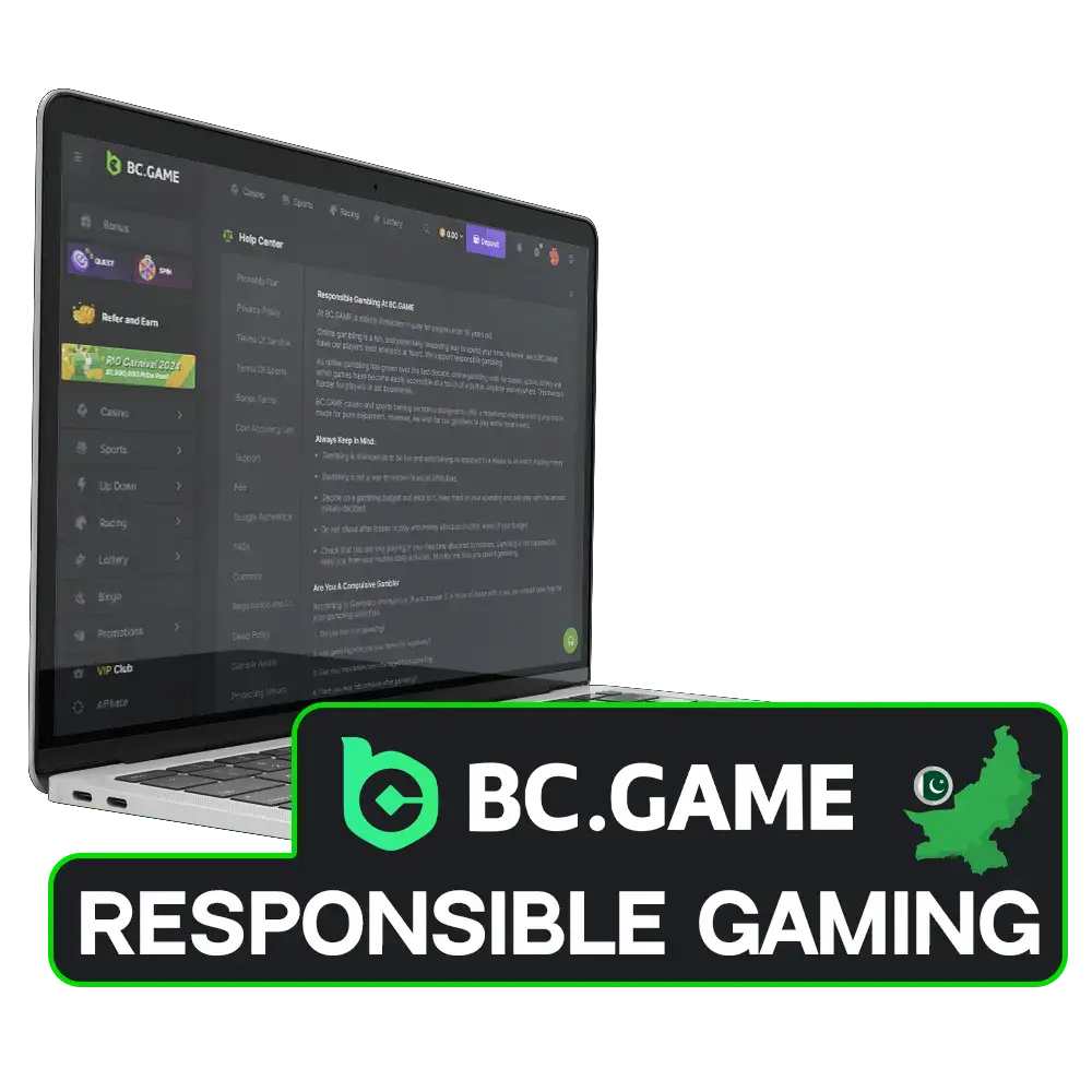 BC Game is fully committed to the principles of responsible gambling.