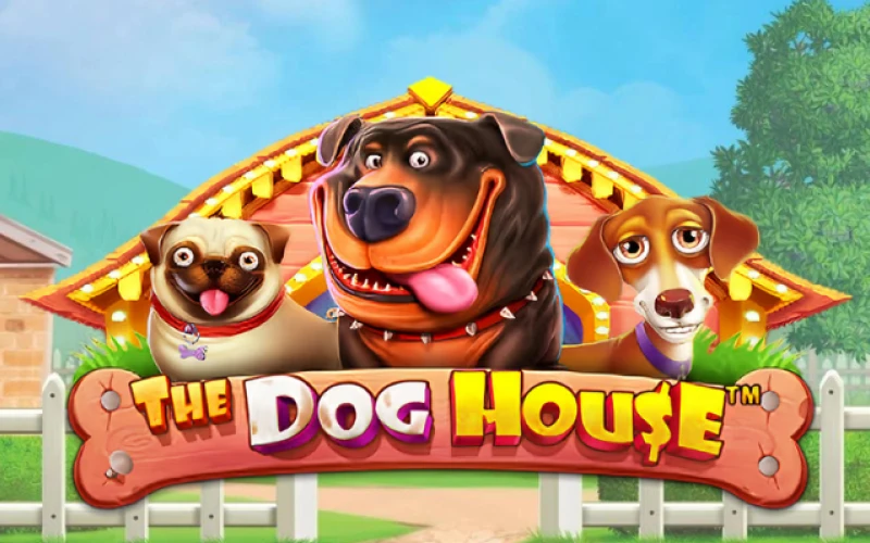 The Dog House remains a fan favorite among our Pakistani gaming community.